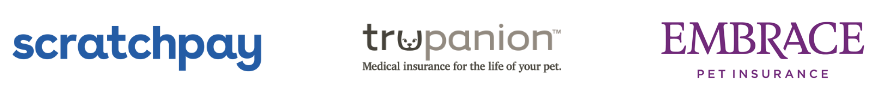 Insurance Coverage