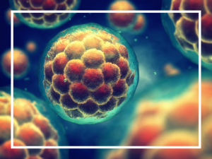 Stem Cell Illustration