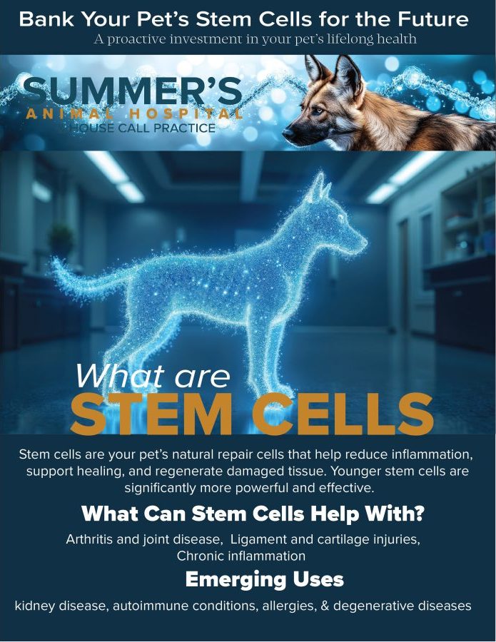 Stem Cell Therapy